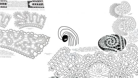 Spider Web