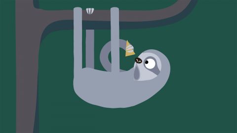 Sloth