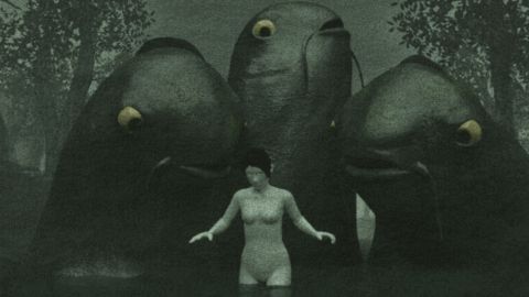 The Swamp