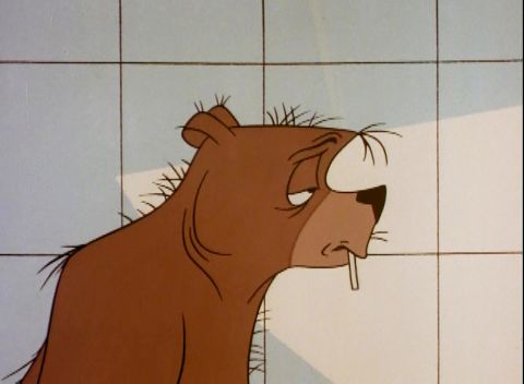 The Bear That Wasn’t