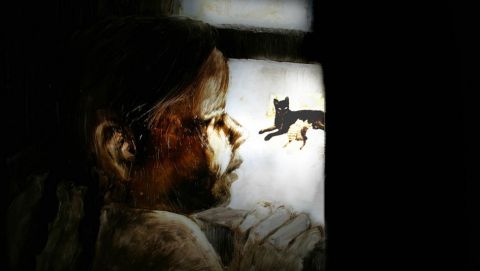 The Kitten