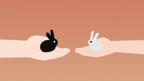 Two for Two