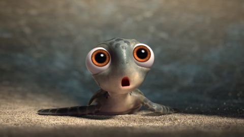Verge