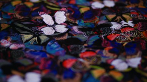 Valentino – Camubutterfly