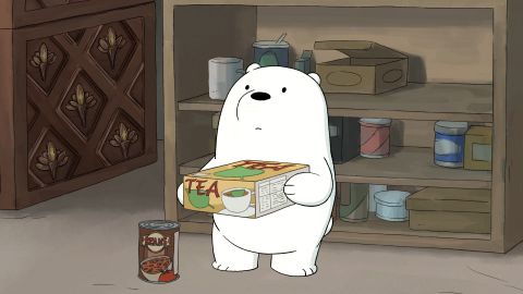We Bare Bears: Yuri and the Bear