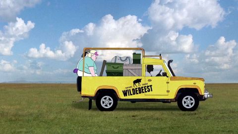 Wildebeest