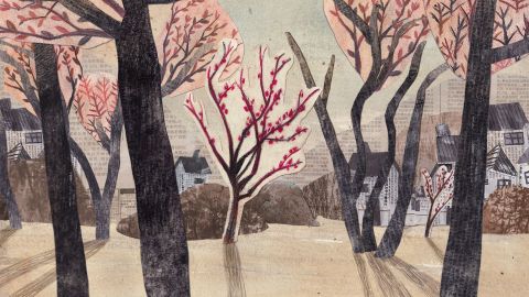 The Name of the Plum Blossom