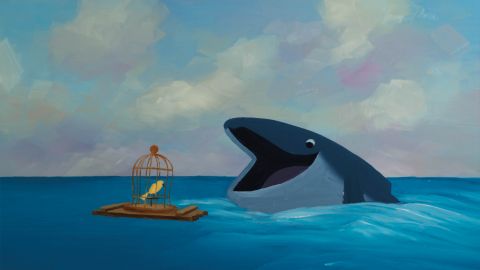 The Bird & the Whale