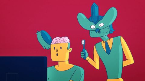 You Have to Choose a Study Program