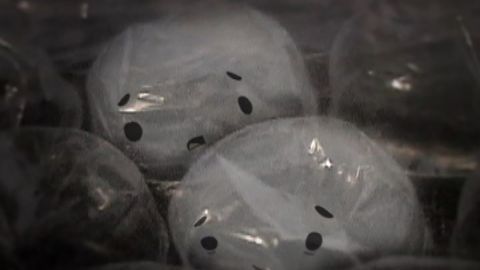 Fantaisie in Bubblewrap