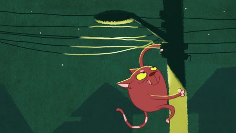 EDP Escelsa – 7 lives