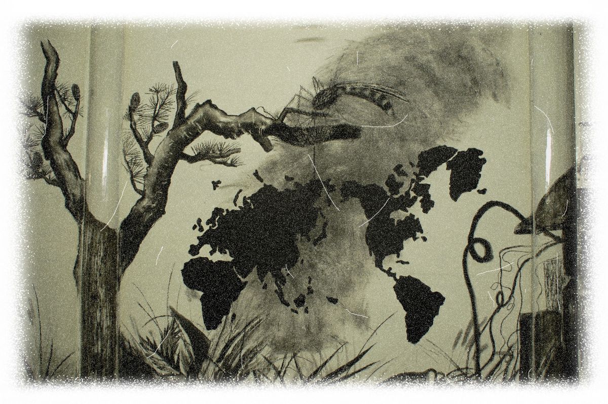 Xun Sun (China)
