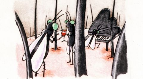 Blackfly
