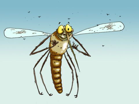 Fumitox: Mosquito