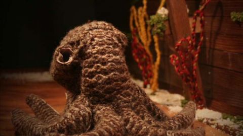 Chris the Octopus