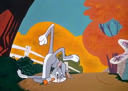 Donald Crafton: Animation vs. Animator