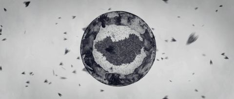 Goodbye Utopia