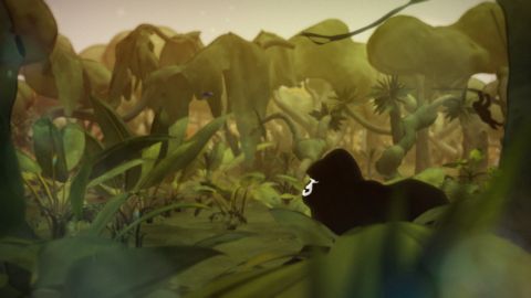 WWF: Jaar van de Gorilla