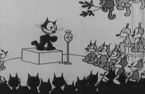 Felix the Cat: Astronomeows