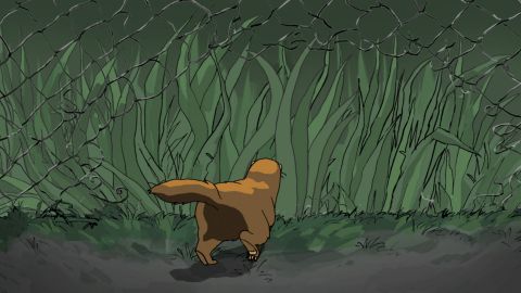 Furcoat