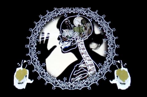 Dreaming of Lucid Living
