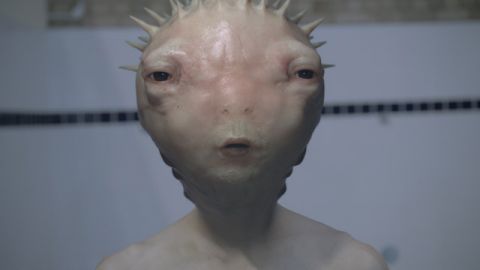 Fugu & Tako