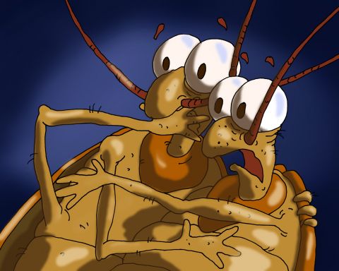 Fumitox: Cockroach