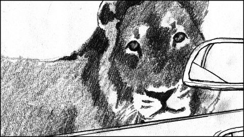 Circus