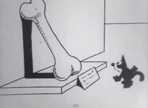 Felix the Cat: Bone Age