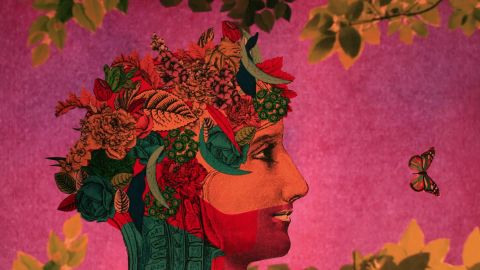 De Beschaving Festival Promo 2016