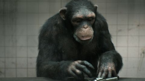 Peta: 98% Human