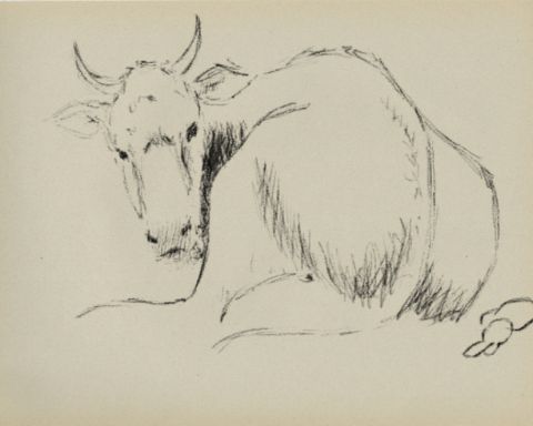 A Cow May Catch a Hare