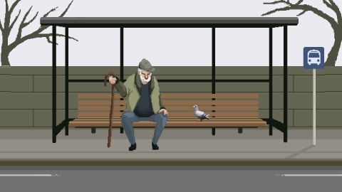 Pigeon