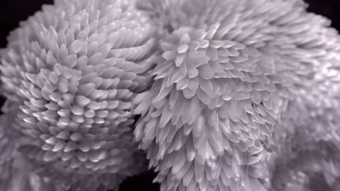 Iris van Herpen: The Dress