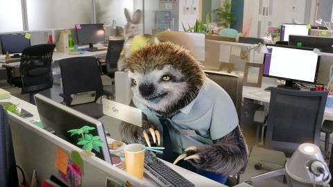 Slack Teams Do Amazing Things: Animals