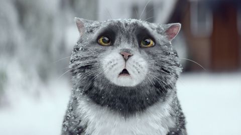 Sainsbury’s: Mog’s Christmas Calamity