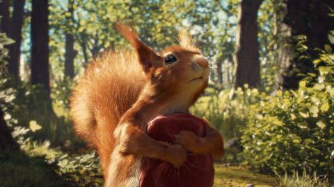 Minor – Split the Squirrel