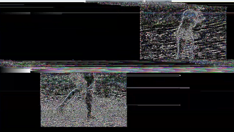 I Felt Like Destroying Something Beautiful