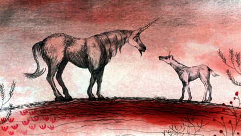 Unicorn Blood