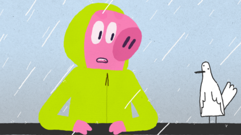 Anorak