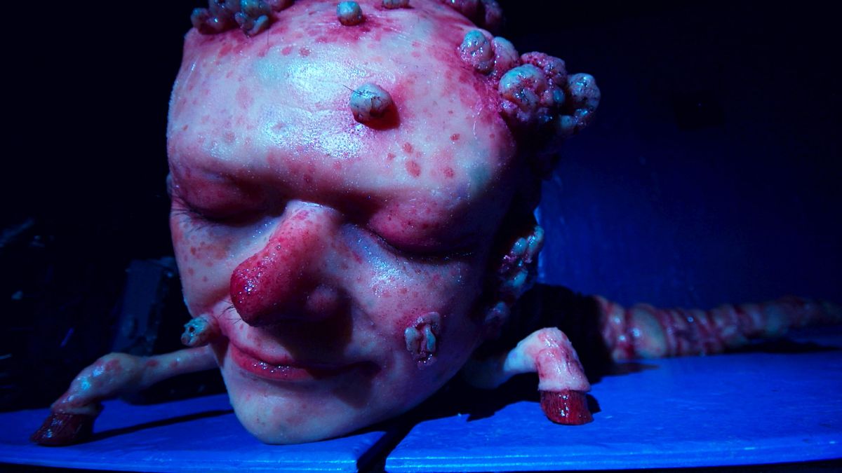 Beyond the Uncanny: Contemporary Stop-motion
